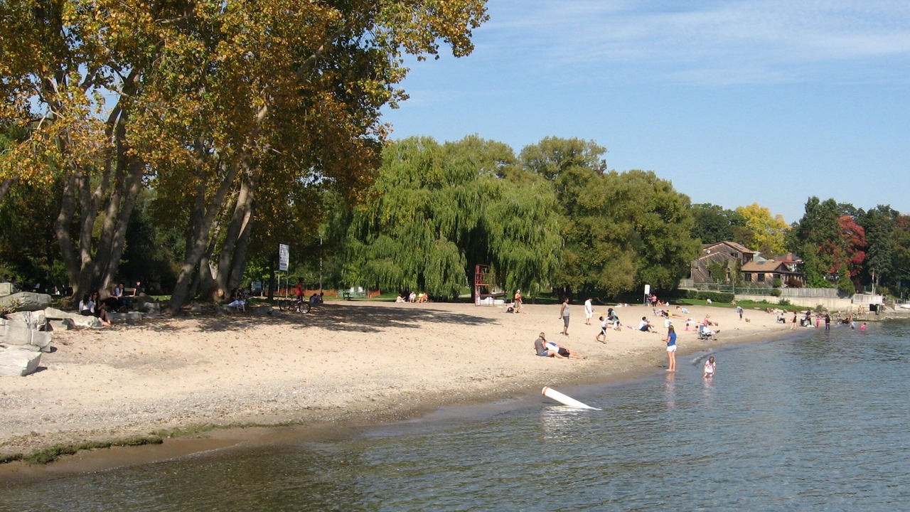 Photo of Others in Etobicoke
