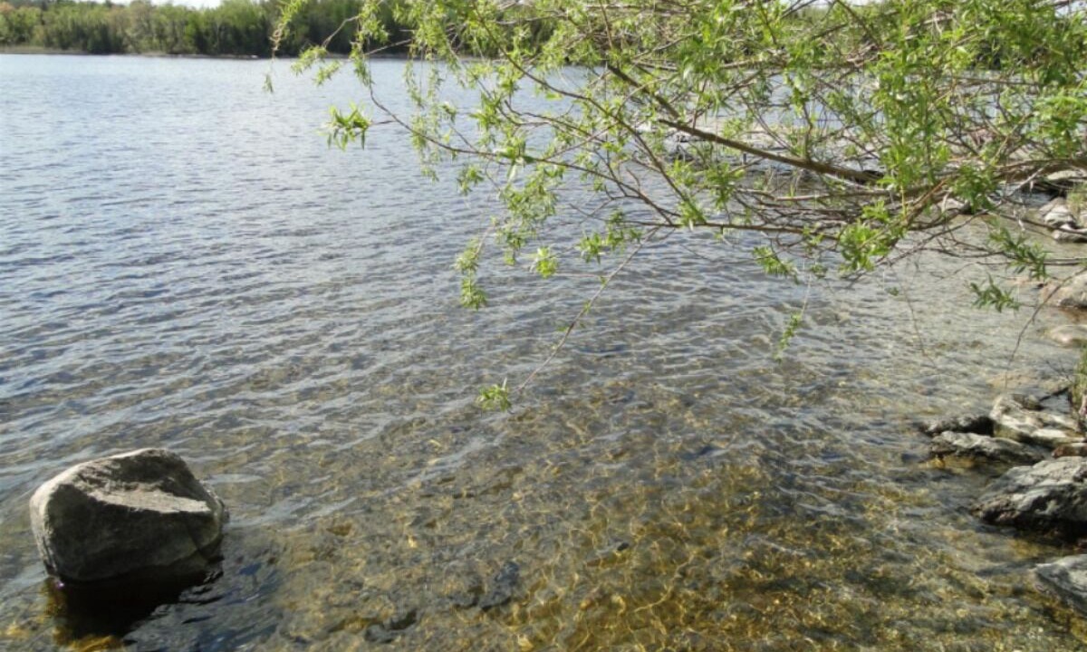 Photo of Others in Lakefield