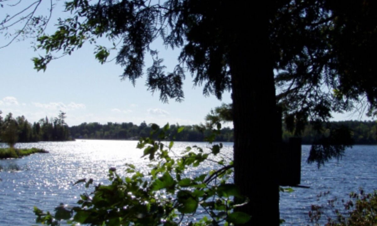 Photo of Others in Youngs Point