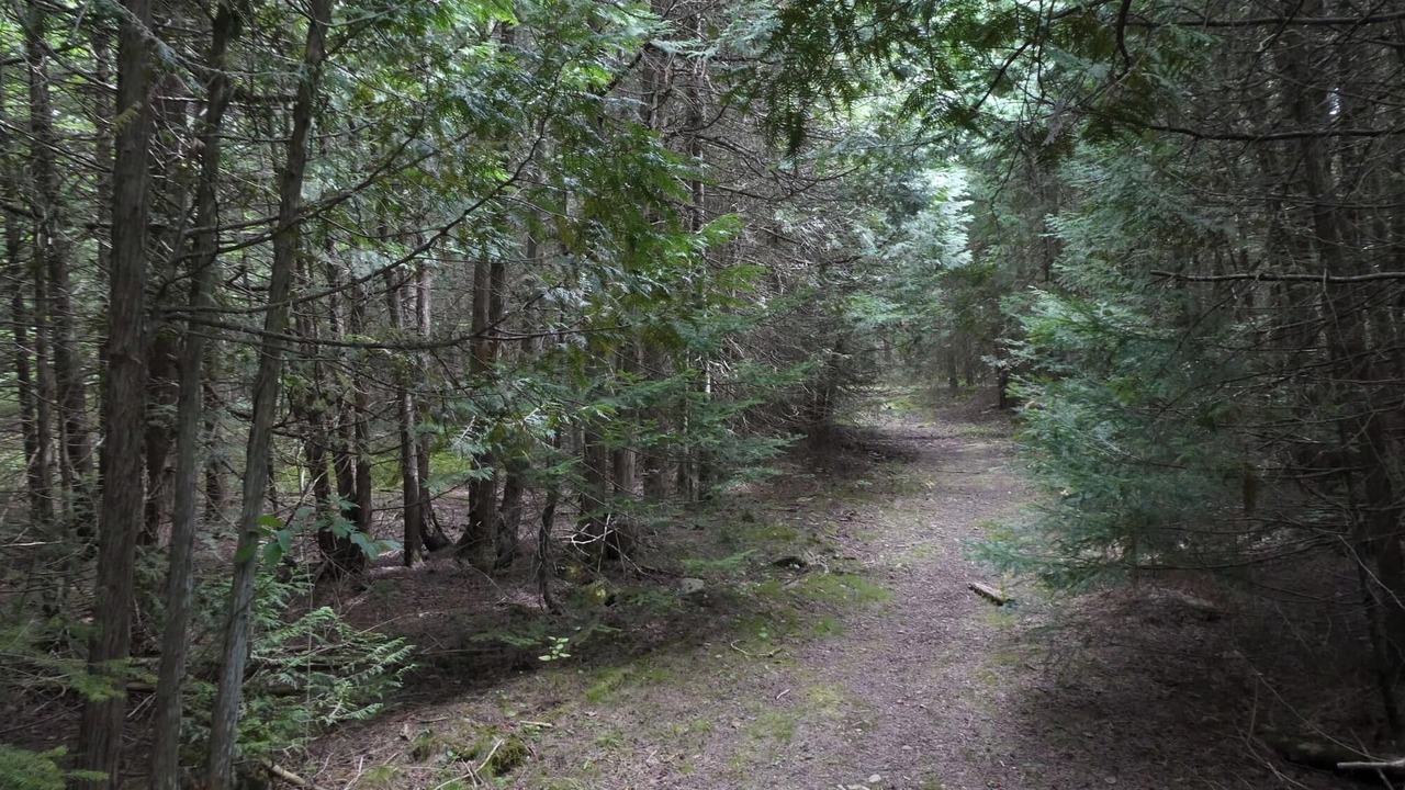 Photo of Others in Youngs Point
