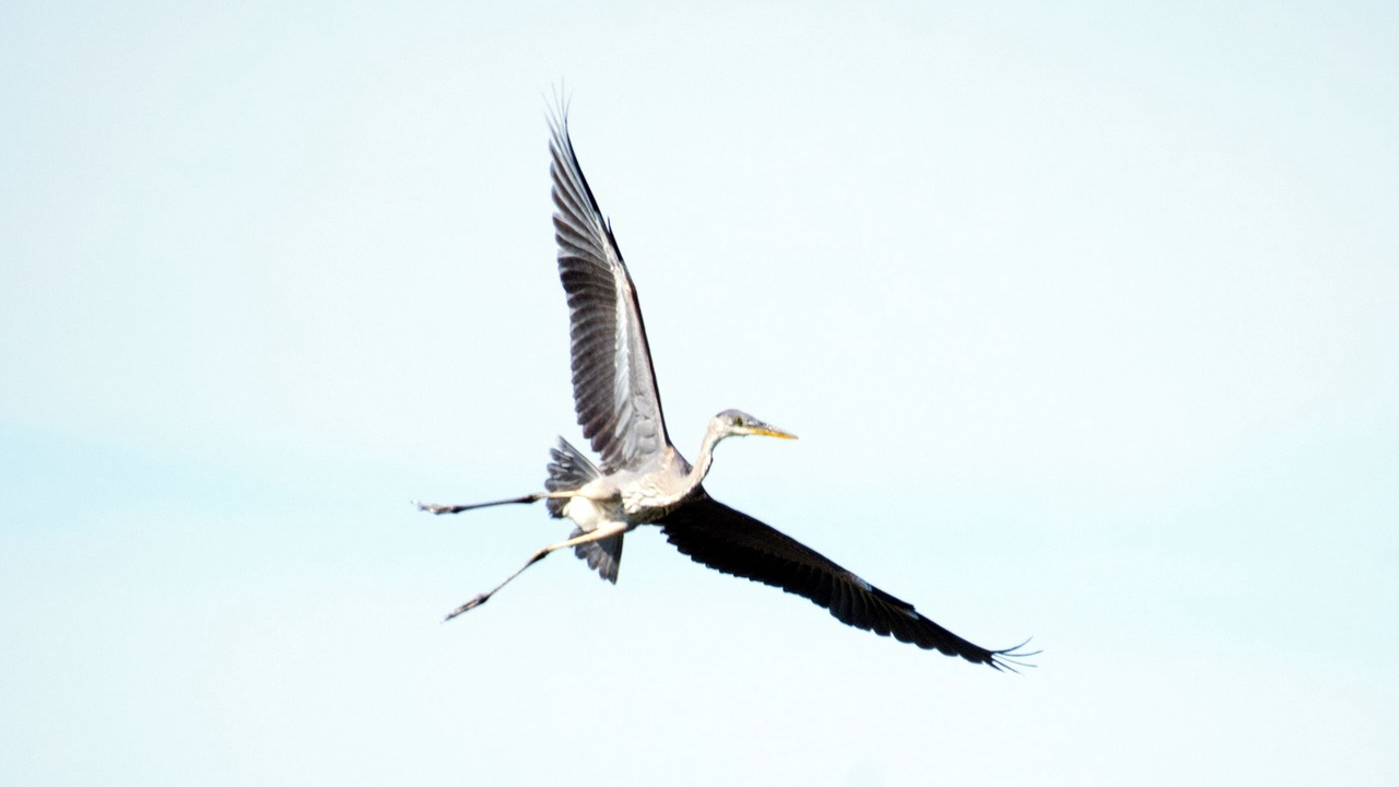 Photo of Others in Manitoulin District