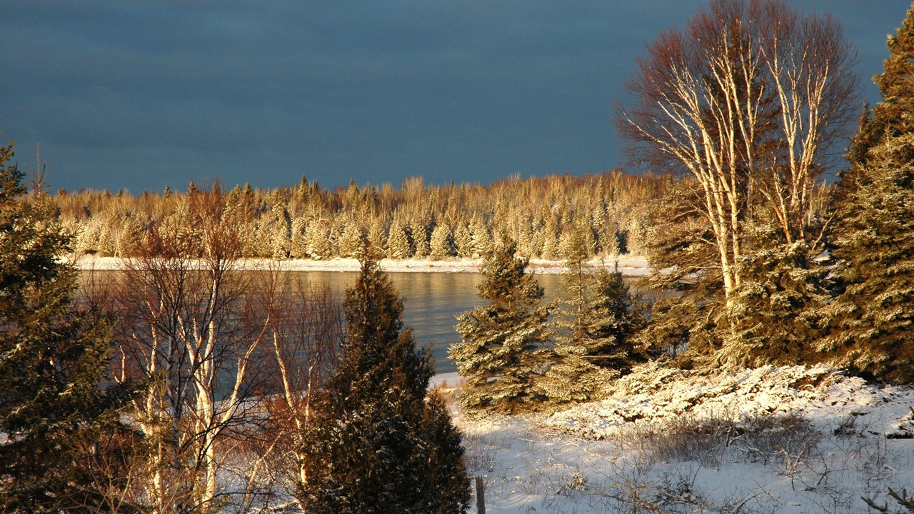 Photo of Others in Manitoulin District