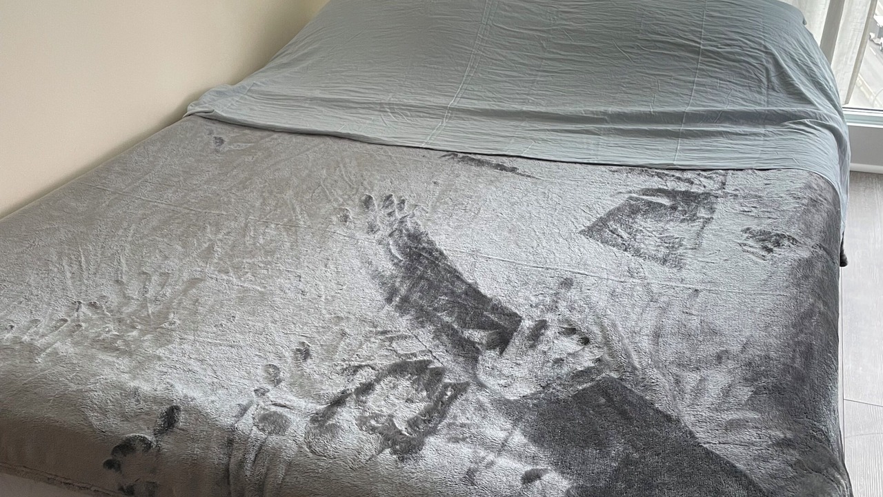 Photo of Bedroom in Financial District