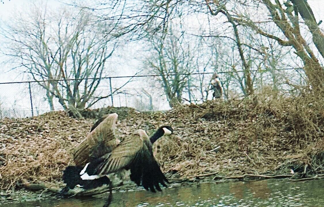 Photo of Others in LaSalle