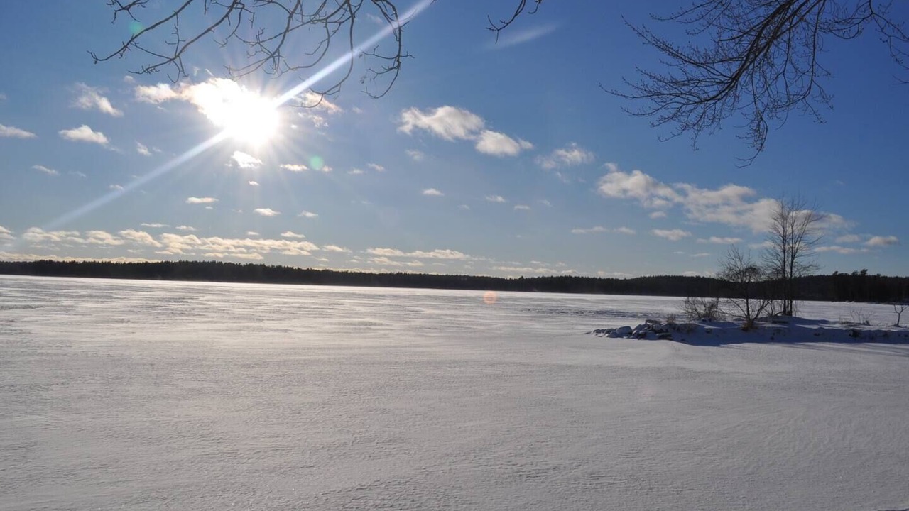 Photo of Others in White Lake