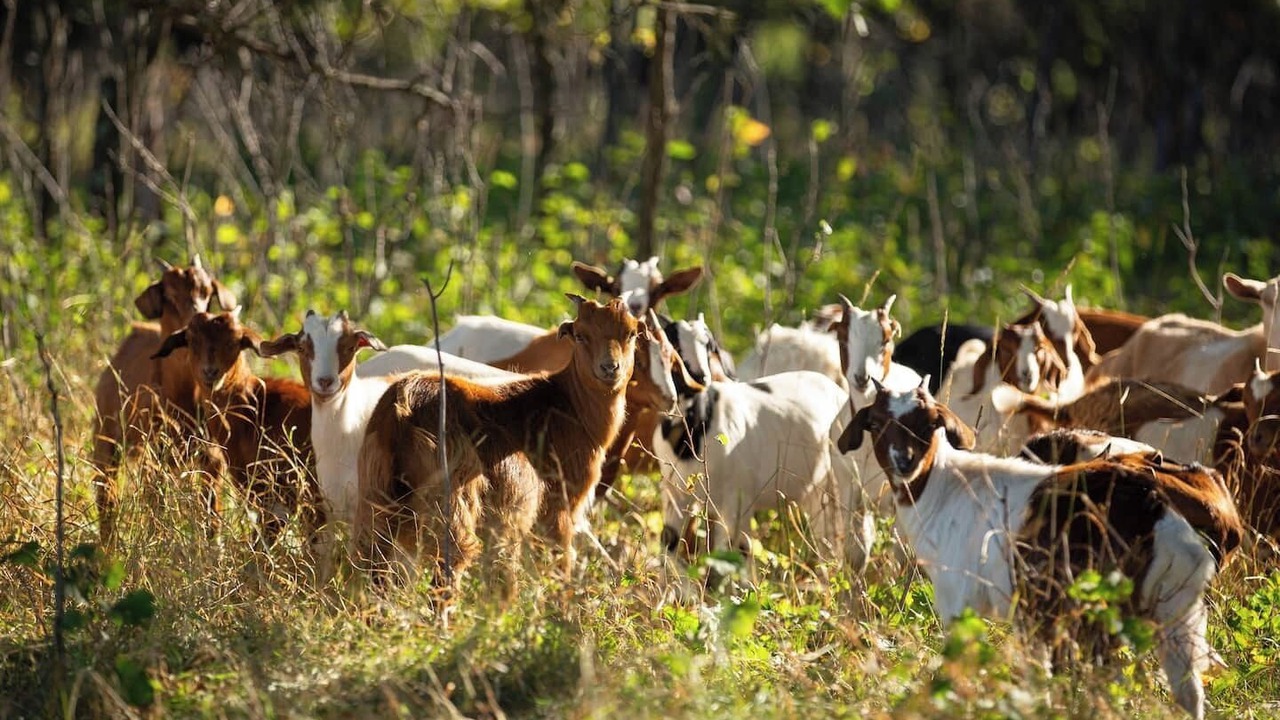 Photo of Others in Almelund