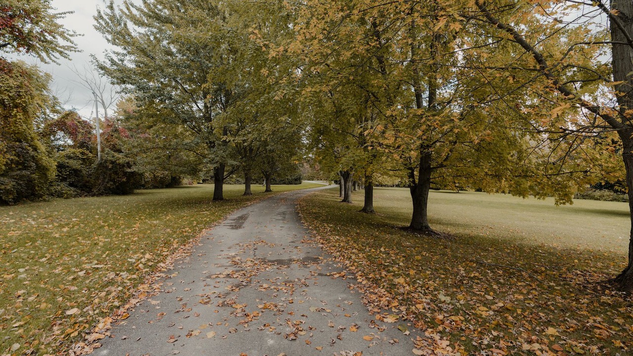 Photo of Others in Bayfield