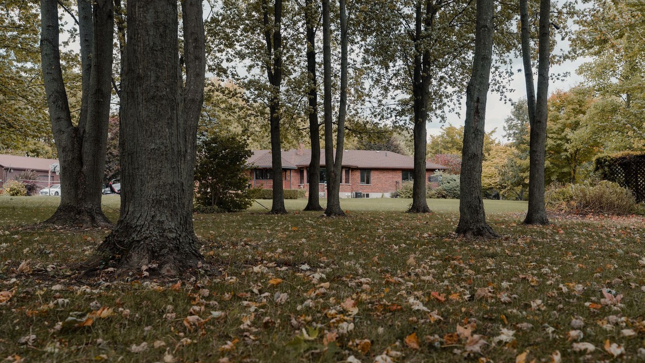 Photo of Outdoor in Bayfield