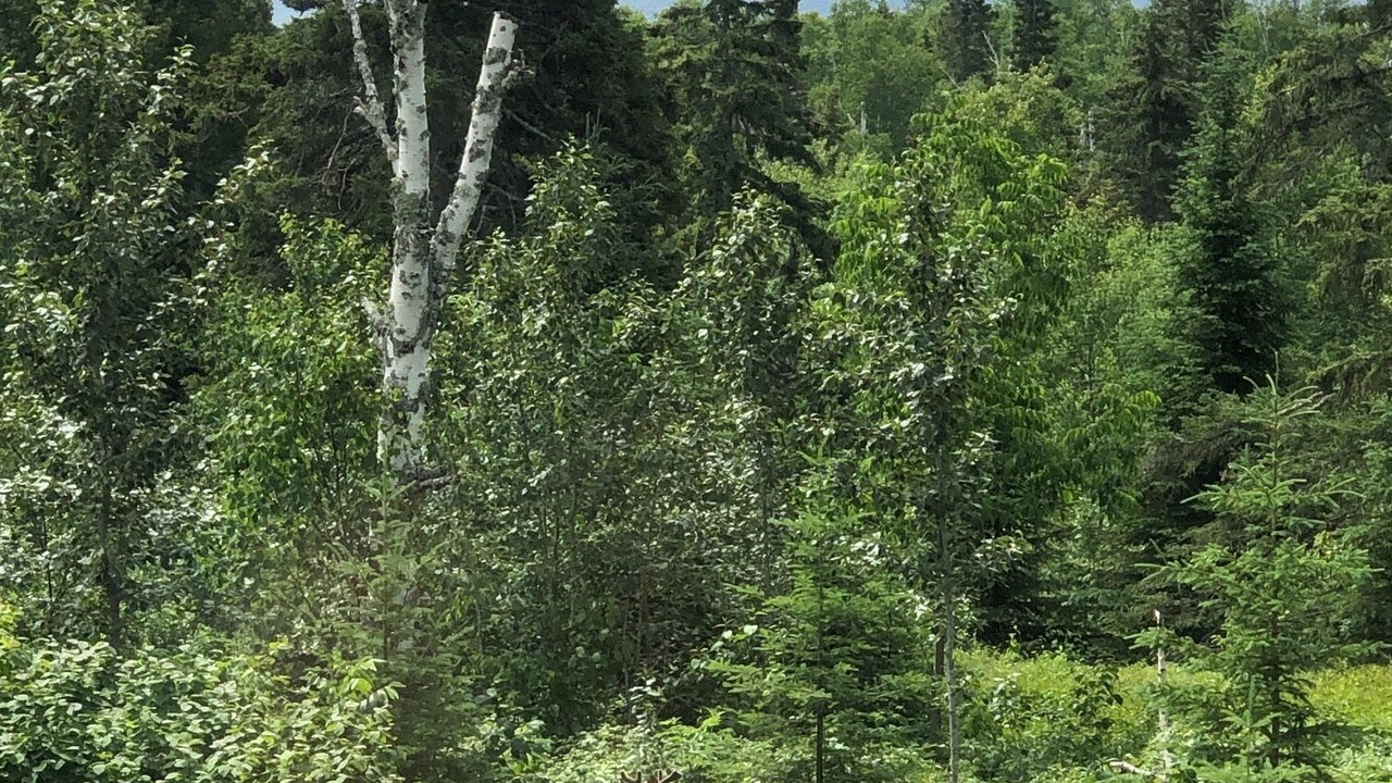 Photo of Others in Tofte