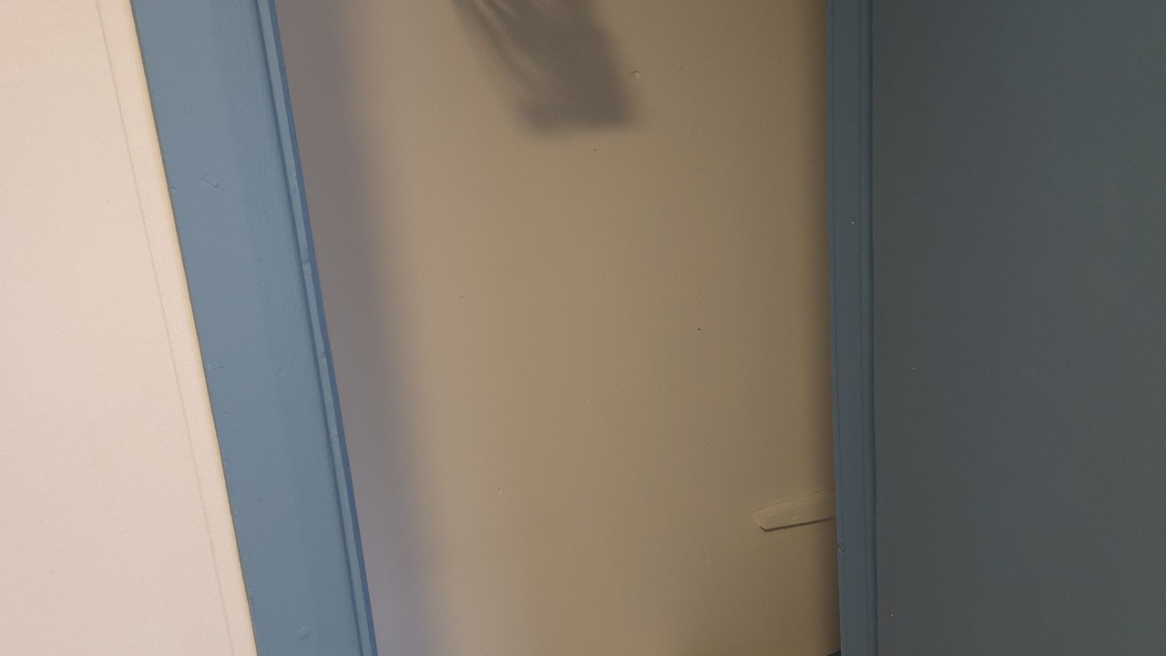 Photo of Others in Rideau Heights