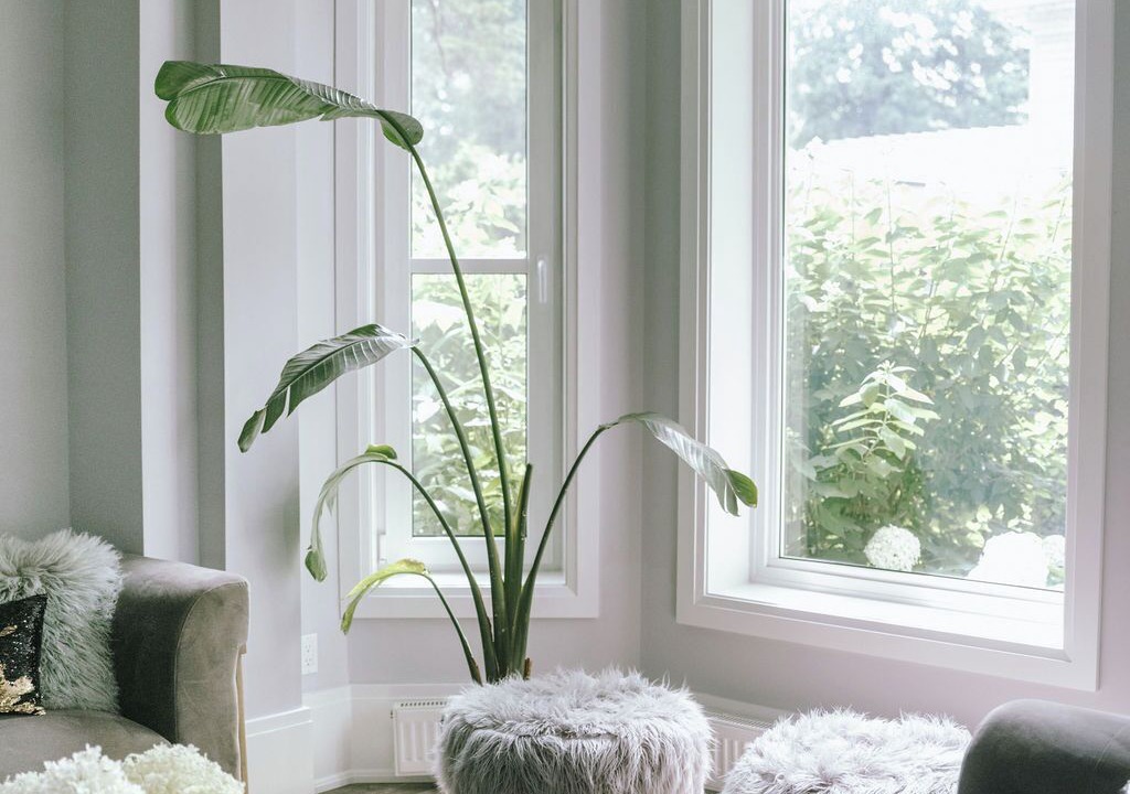 Photo of Livingroom in Prince Edward