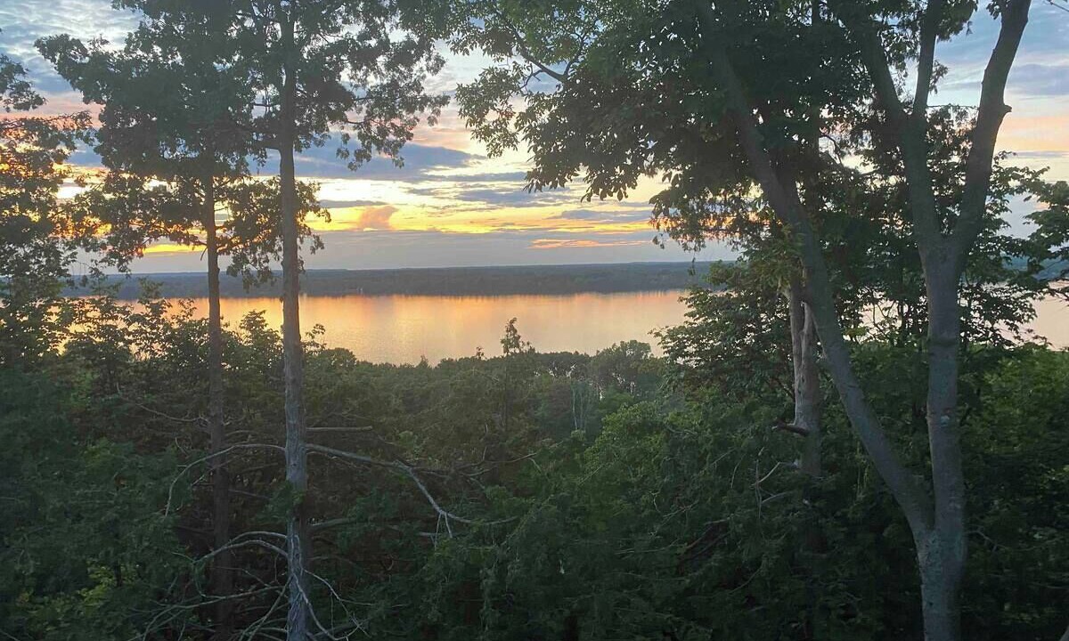 Photo of Others in Bongard