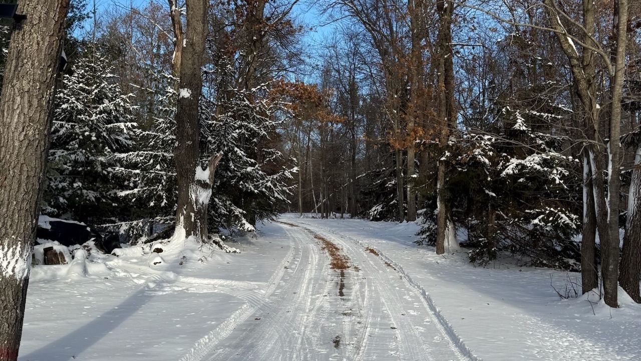 Photo of Others in Markville