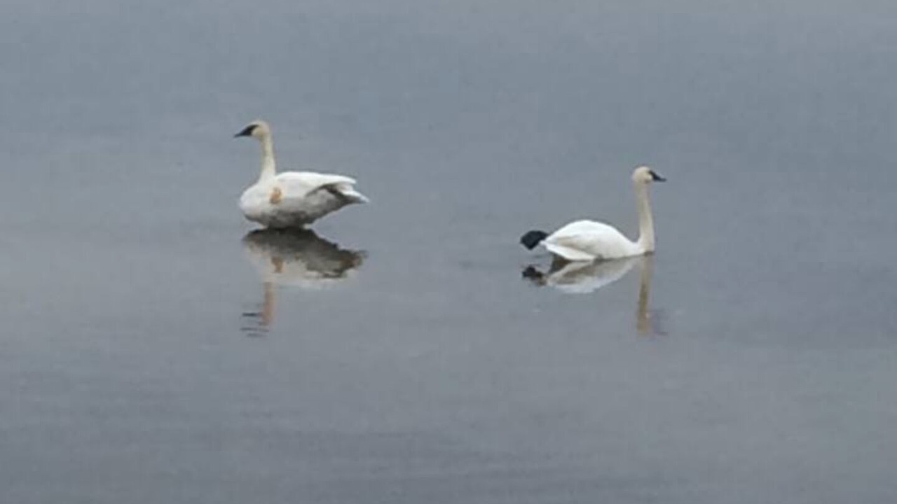 Photo of Others in Tay