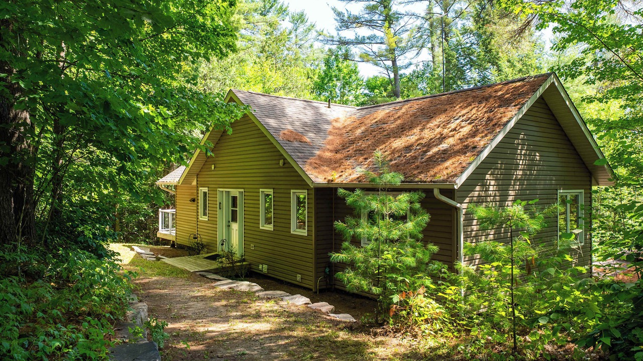 Photo of Outdoor in Baysville