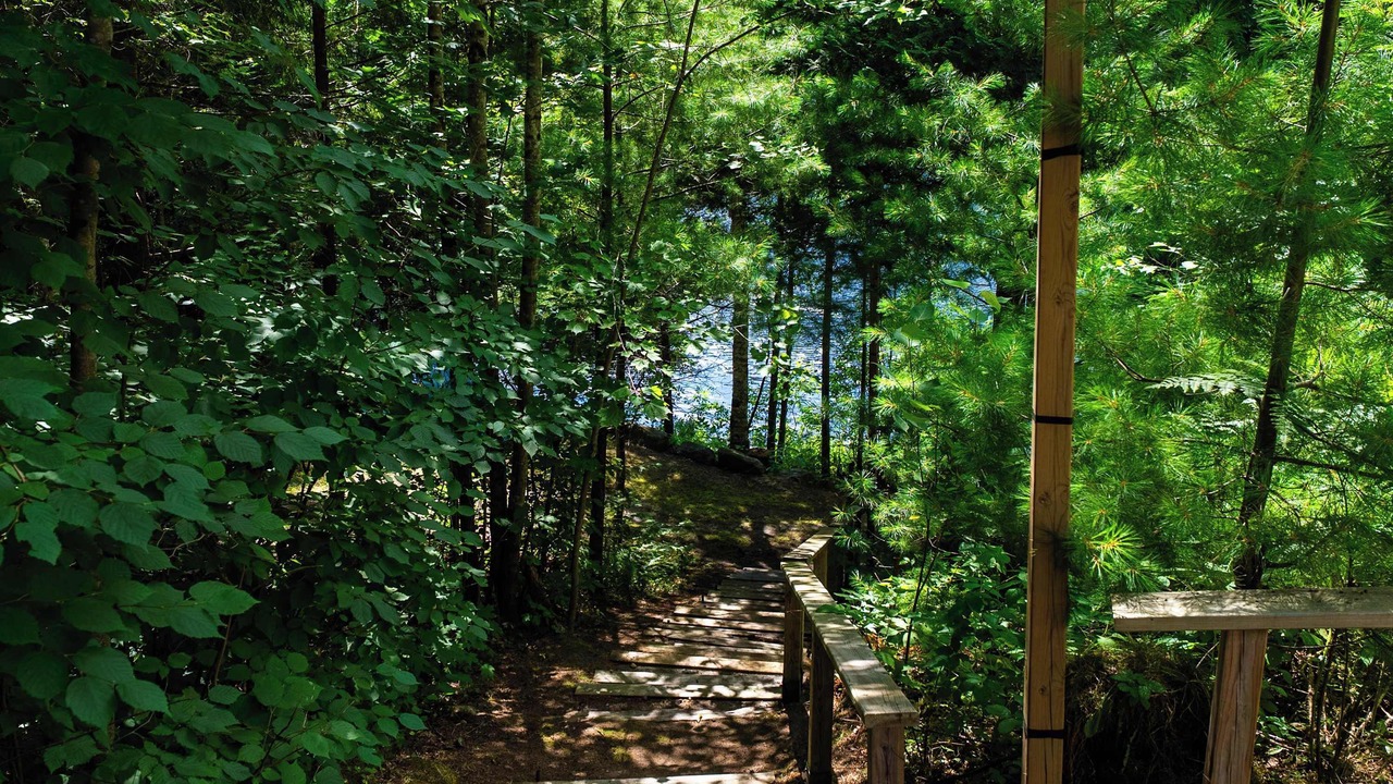Photo of Outdoor in Baysville