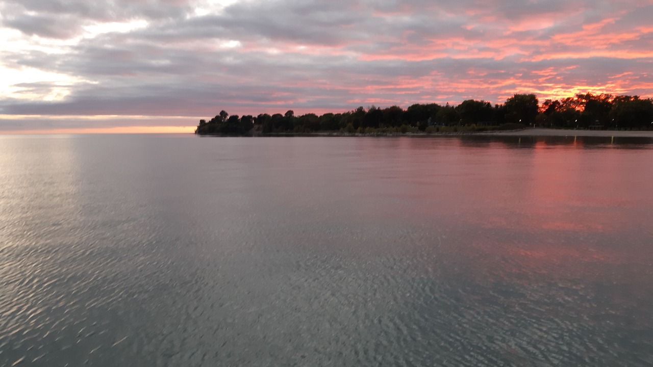 Photo of Others in Durham Region