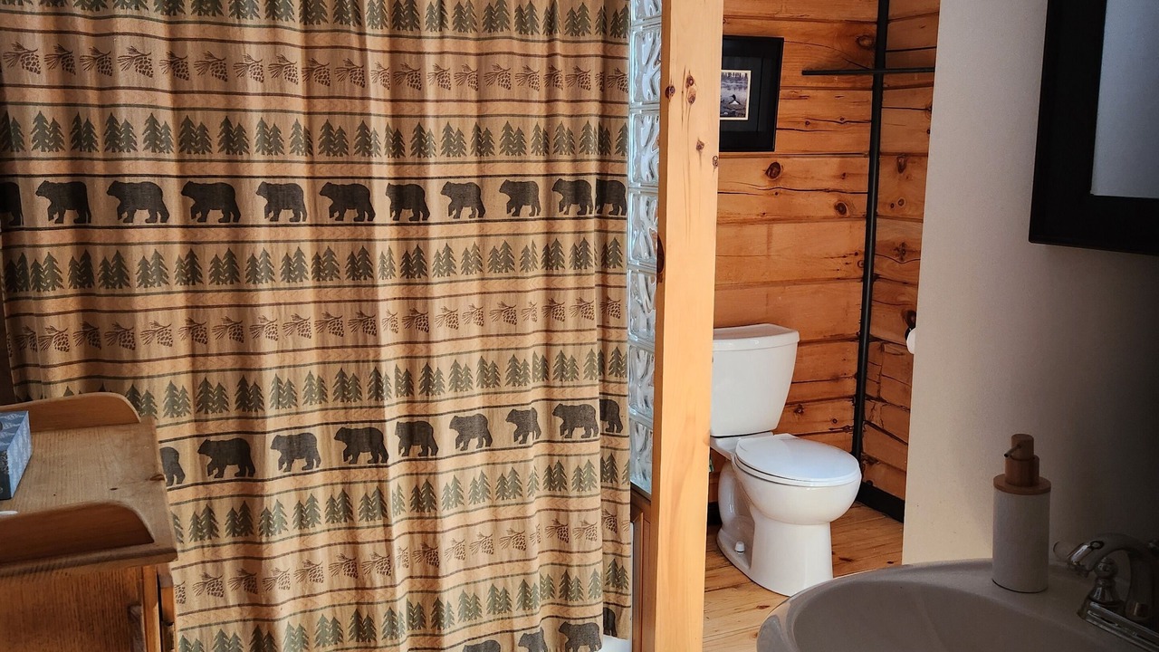 Photo of Bathroom in Algonquin Highlands