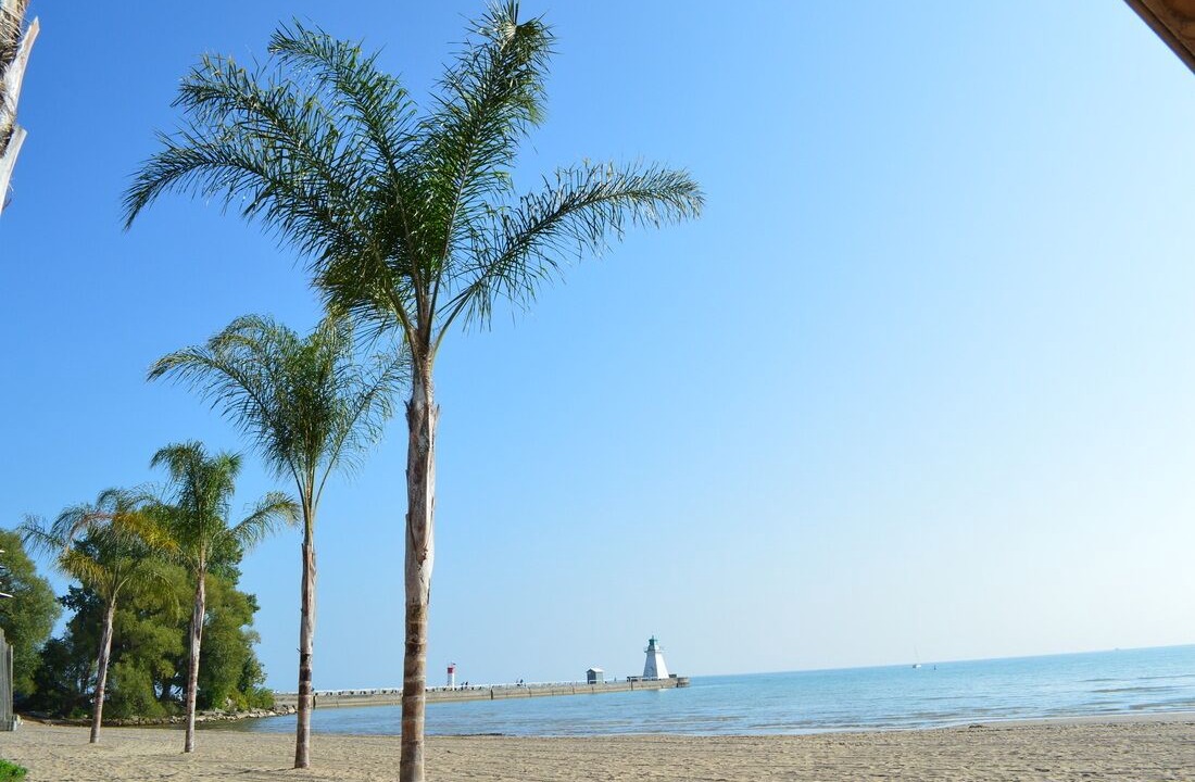 Photo of Others in Port Dover