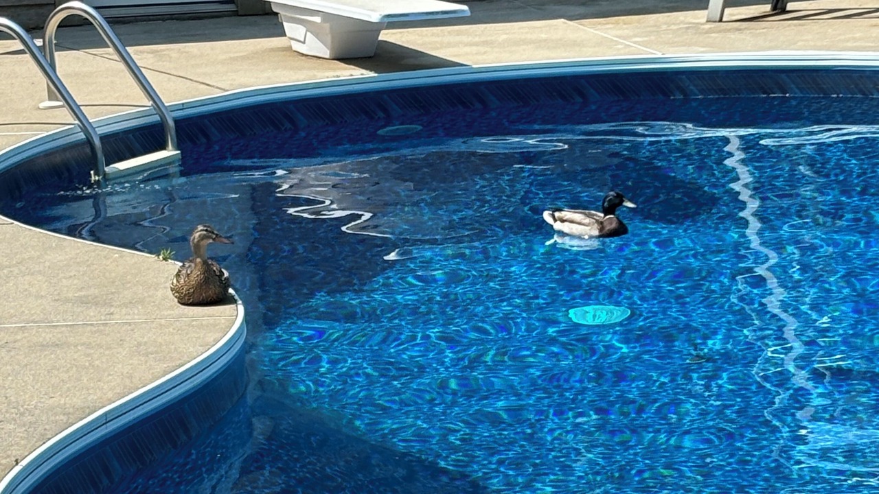 Photo of Outdoor in Port Dover