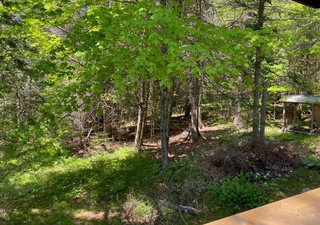 Photo of Outdoor in Central Frontenac