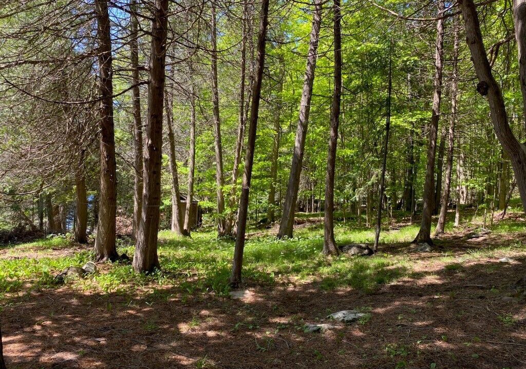 Photo of Others in Central Frontenac