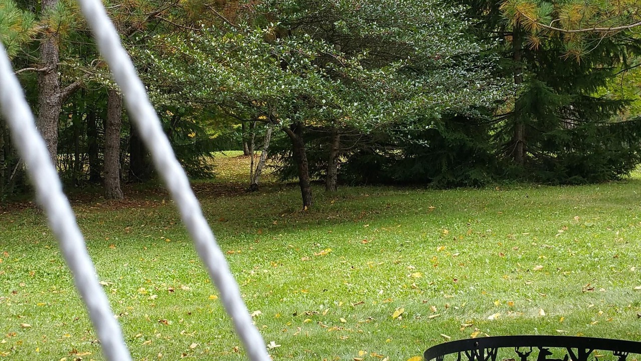 Photo of Outdoor in Finlayson