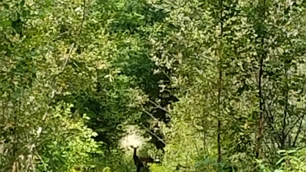 Photo of Others in Finlayson