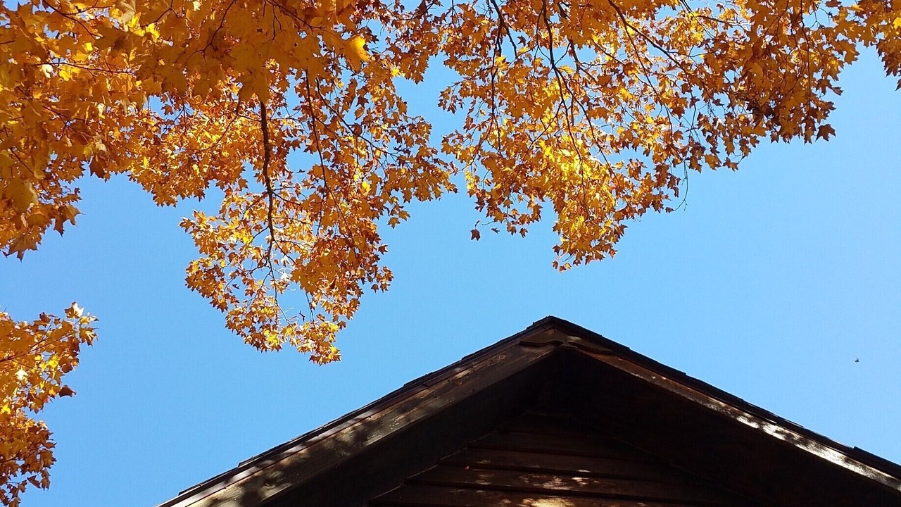 Photo of Outdoor in Finlayson