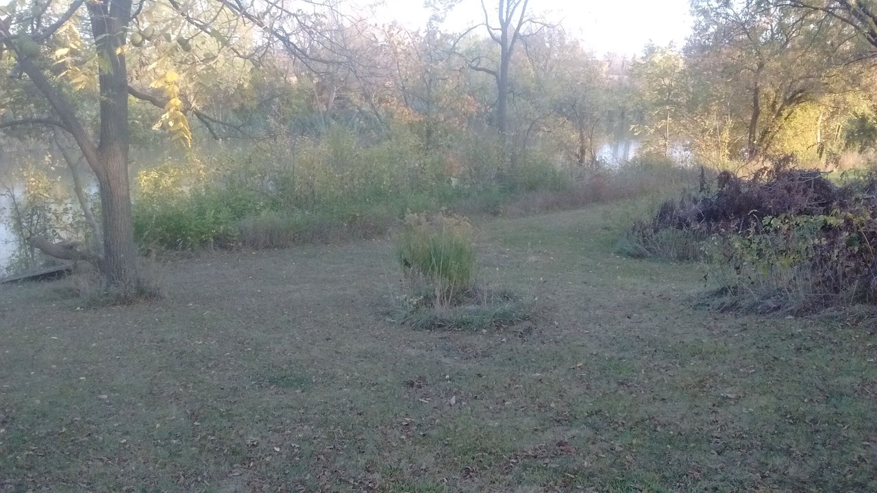 Photo of Outdoor in St. Clair