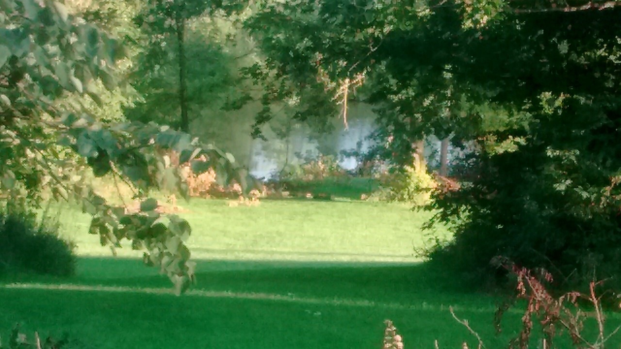 Photo of Outdoor in St. Clair