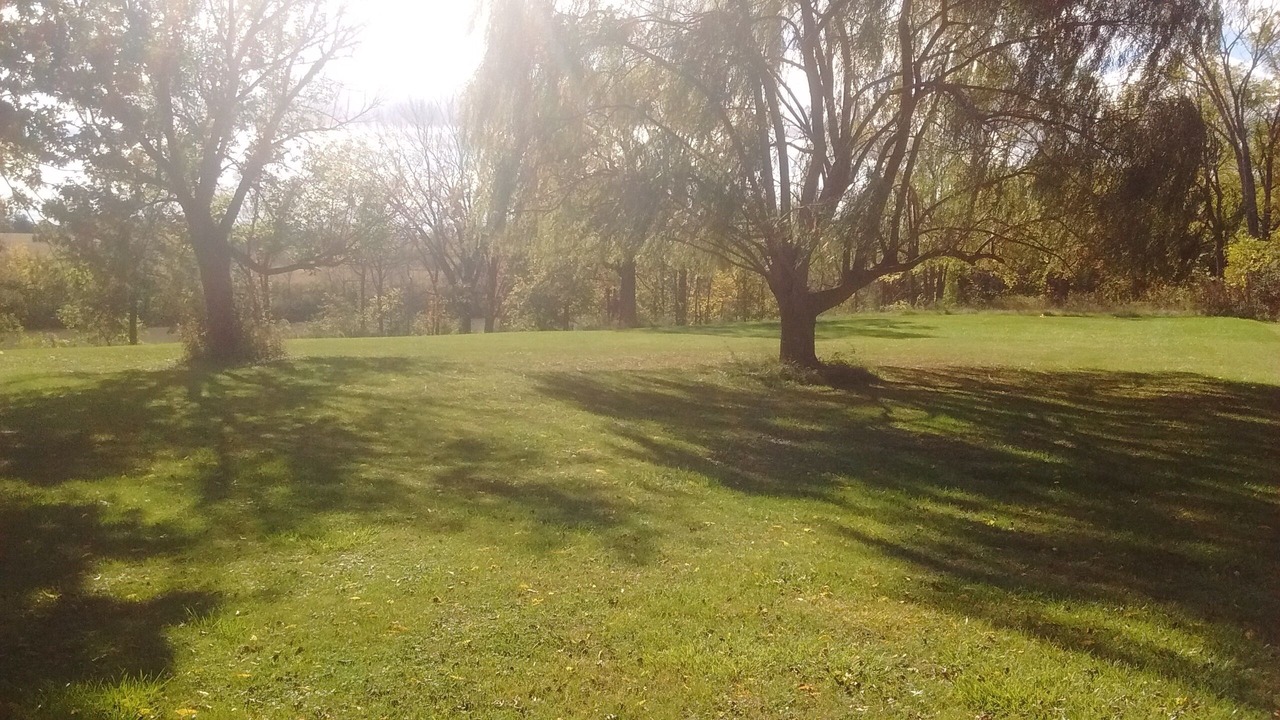 Photo of Outdoor in St. Clair