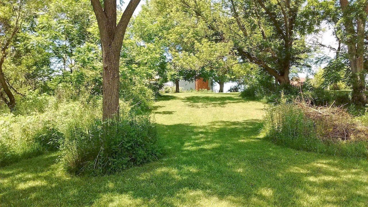 Photo of Outdoor in St. Clair