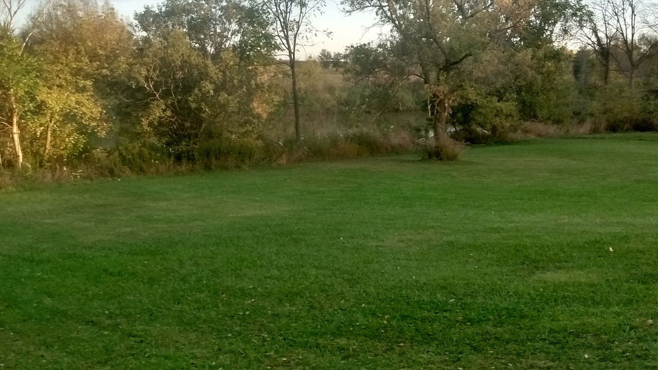 Photo of Others in St. Clair