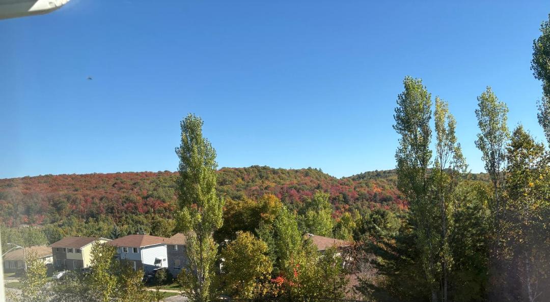 Photo of Others in Algoma District