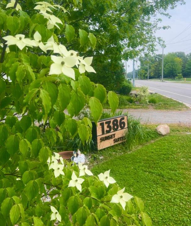 Photo of Others in Niagara-on-the-Lake