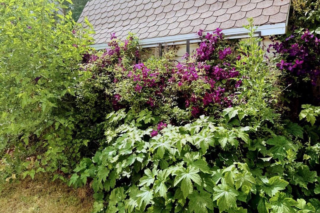 Photo of Outdoor in Chatham-Kent