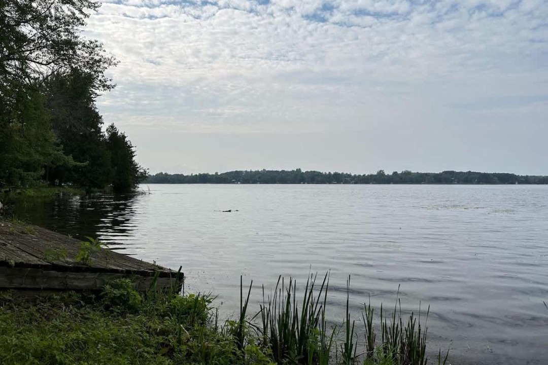 Photo of Others in Lakefield