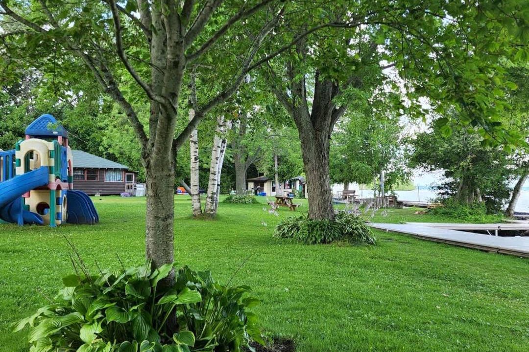 Photo of Others in Rosedale