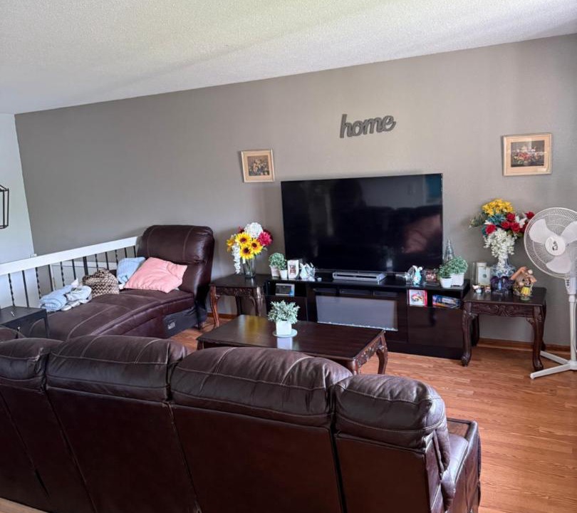 Photo of Livingroom in South St. Paul