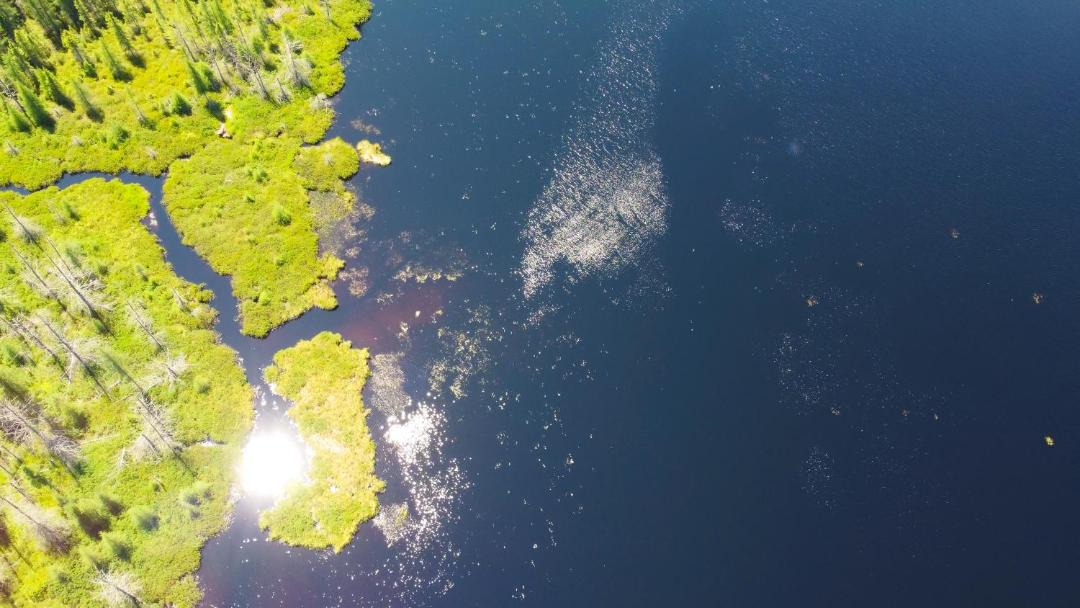 Photo of Others in Madawaska