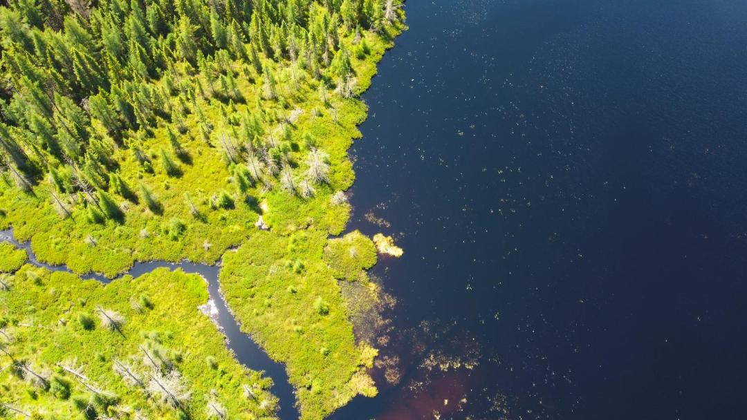 Photo of Others in Madawaska