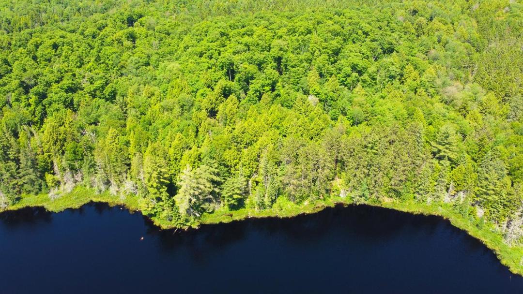 Photo of Others in Madawaska