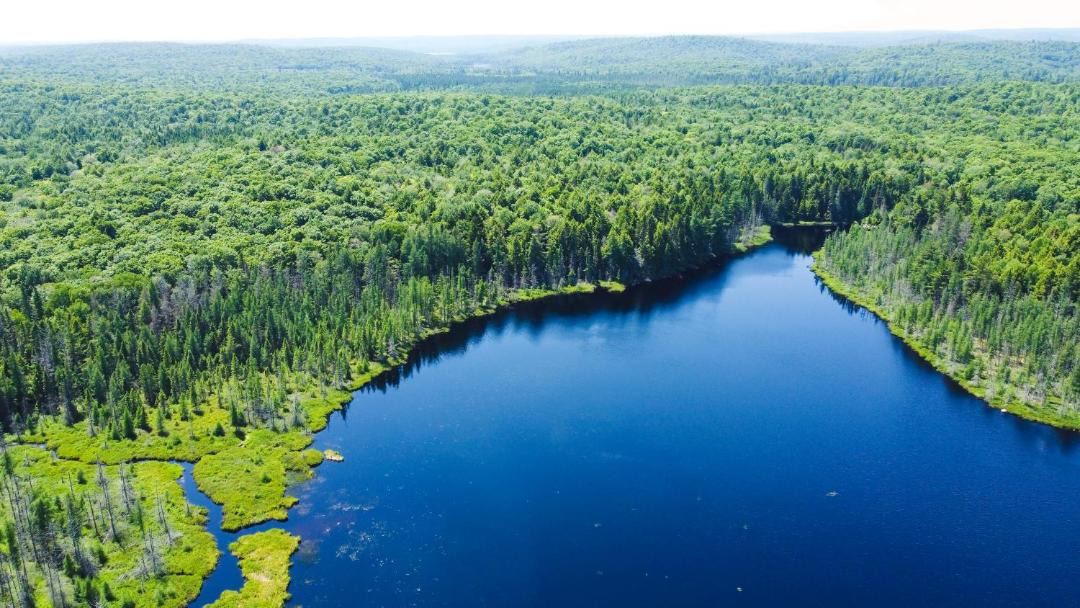 Photo of Others in Madawaska