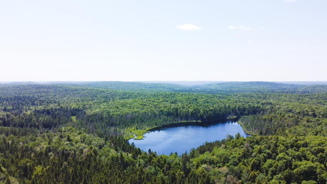 Photo of Others in Madawaska