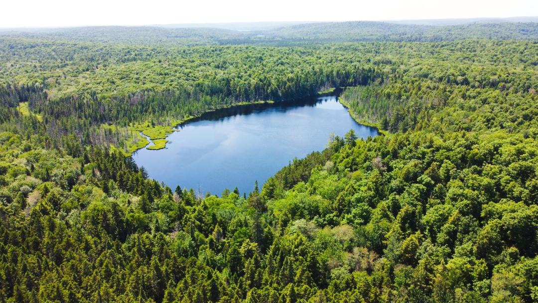 Photo of Others in Madawaska