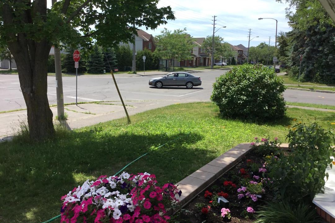 Photo of Others in Ottawa Division