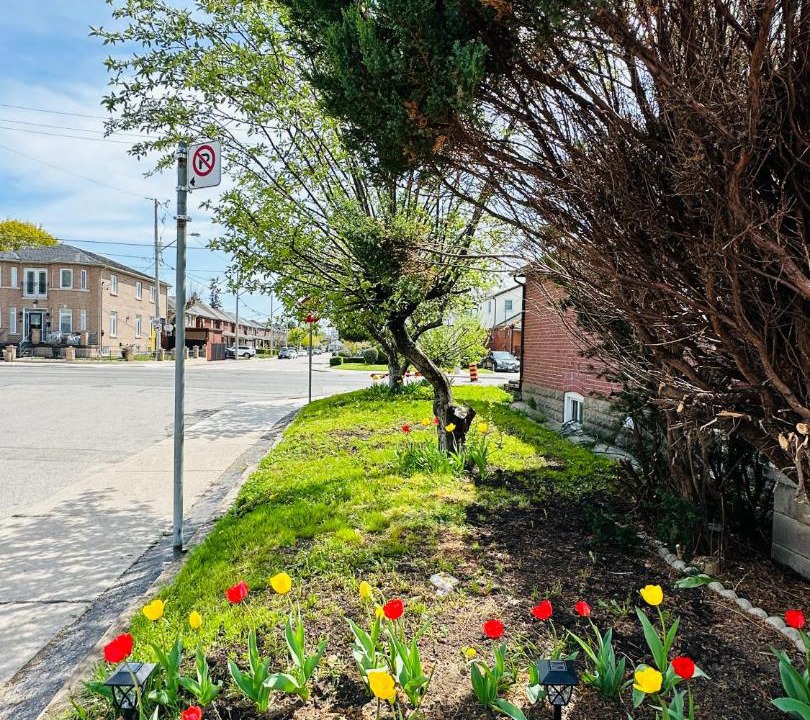 Photo of Others in Old East York