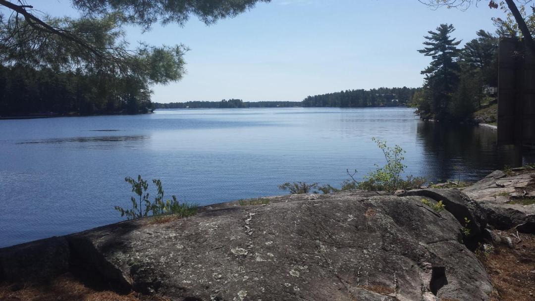 Photo of Others in Burleigh Falls