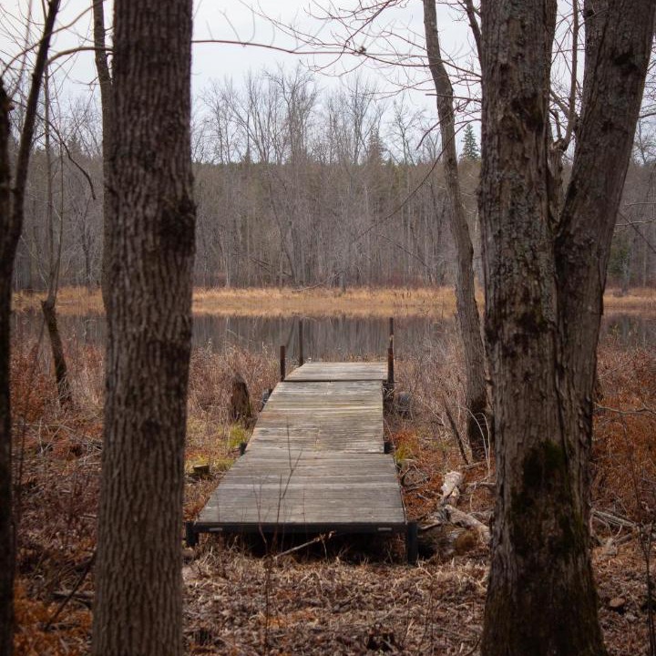 Photo of Others in North Algona Wilberforce